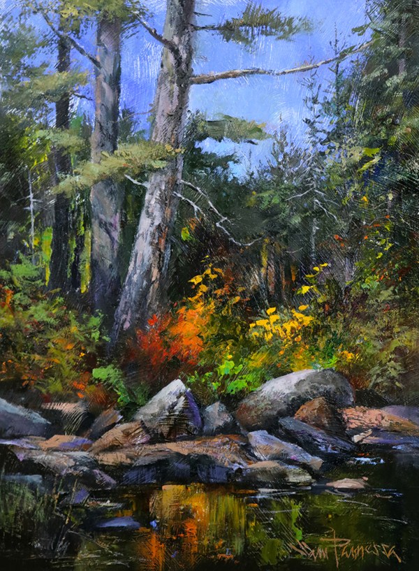 Bog River Falls - Sam Paonessa